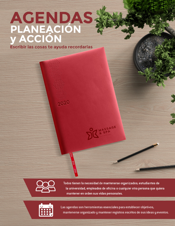 Agenda Ejecutiva Opción 1